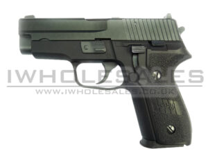 WE 228 Gas Blowback Pistol (Non Rail)